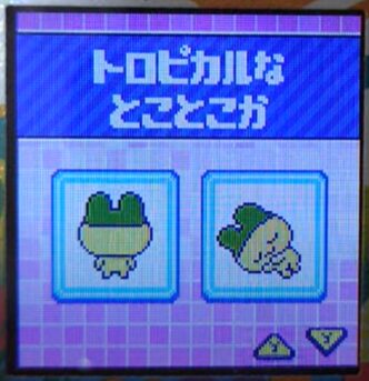 T-010トロピカルなとことこか