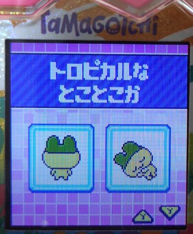 T-010トロピカルなとことこか