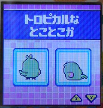 T-011トロピカルなとことこか