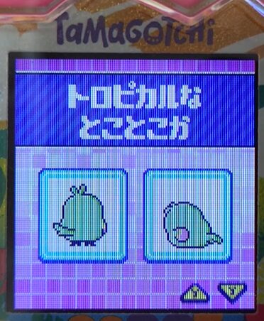 T-011トロピカルなとことこか