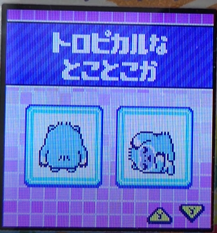 T-012トロピカルなとことこか