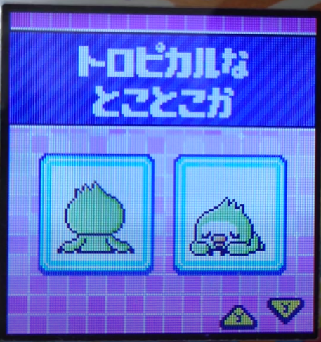 T-013トロピカルなとことこか