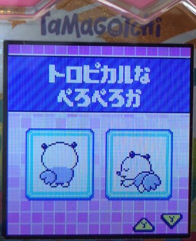 T-014トロピカルなぺろぺろか