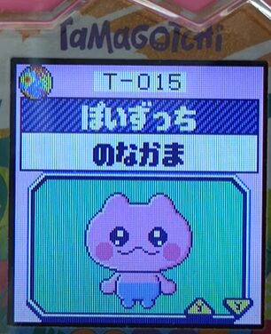 T-015ぽいずっち