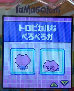T-015トロピカルなぺろぺろか