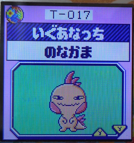 T-017いぐあなっち