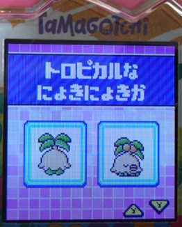 T-018トロピカルなにょきにょきか