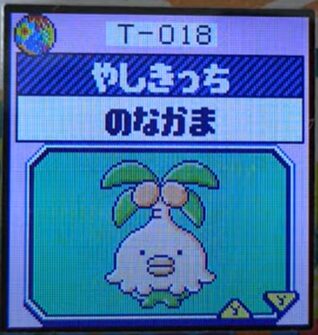 T-018やしきっち