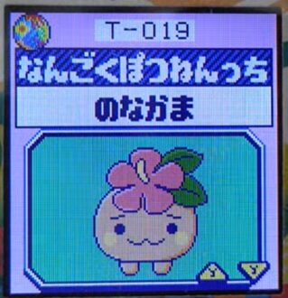 T-019なんごくぽつねんっち