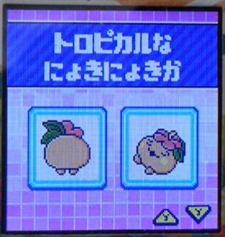 T-019トロピカルなにょきにょきか