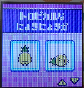 T-020トロピカルなにょきにょきか