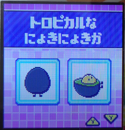 T-021トロピカルなにょきにょきか