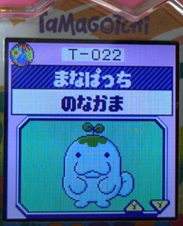 T-022まなぱっち