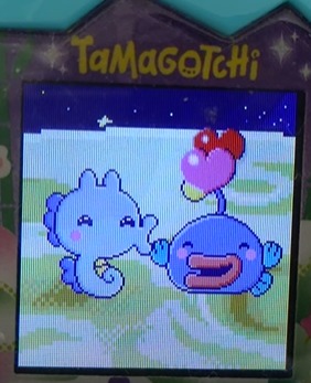 たちゅっちとアンコっちでブリードした