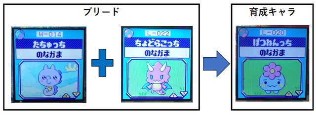 【りく】たちゅっちとちょどらこっちとブリードした【ぽつねんっち】5