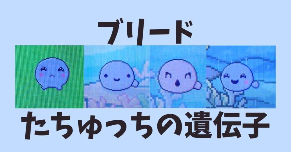 たちゅっちの遺伝子