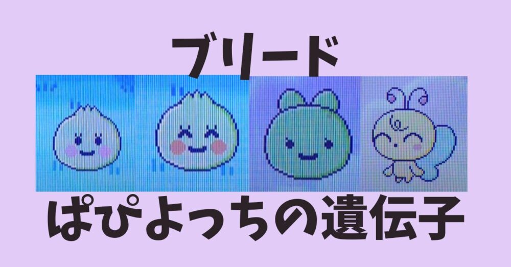ぱぴよっちの遺伝子