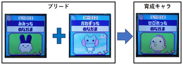 【りく】かわずっちとみみっちでブリード【アダルト期】せびれっち9