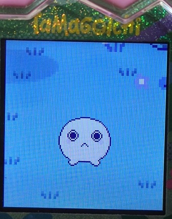 【りく】ほーほっちとみみっちでブリードした【キッズ期】2