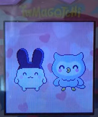 ほーほっちとみみっちでブリードした
