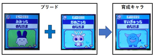 【もり】みみっちとかのこっちでブリードした【アダルト期】すいぎゅっち9