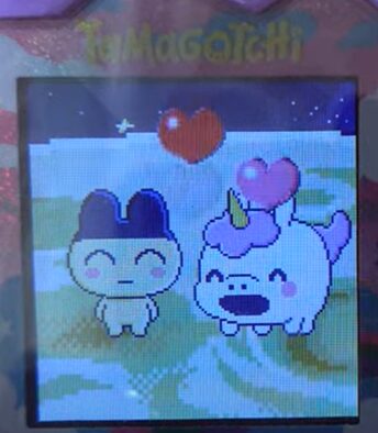 【そら】ややこーんっちとまめっちでブリード