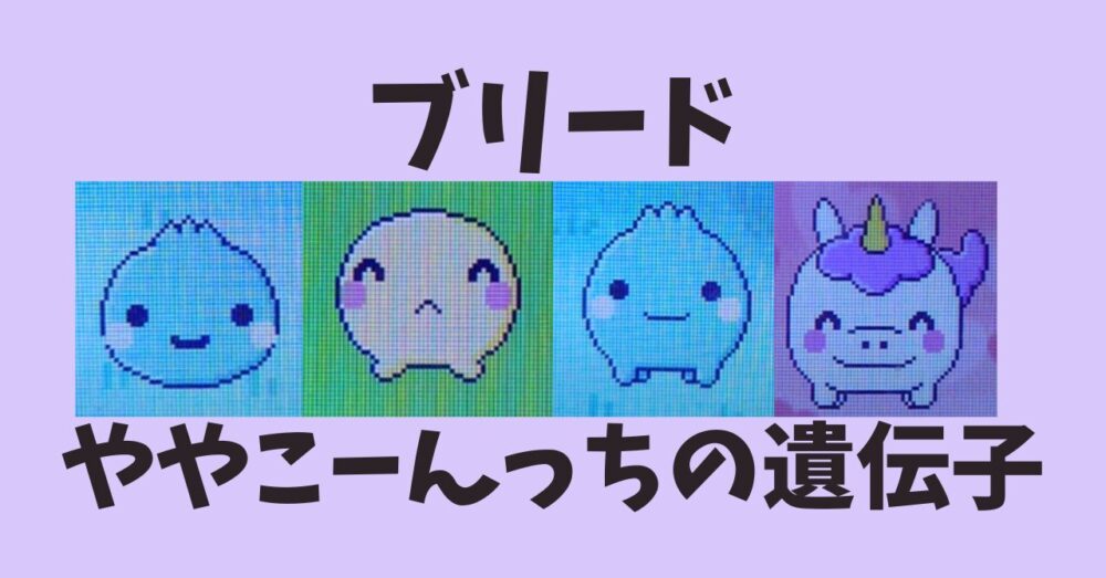 ややこーんっちの遺伝子