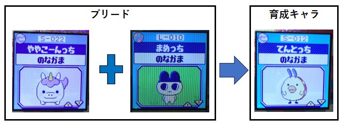 ややこーんっちとまめっちとてんとっち