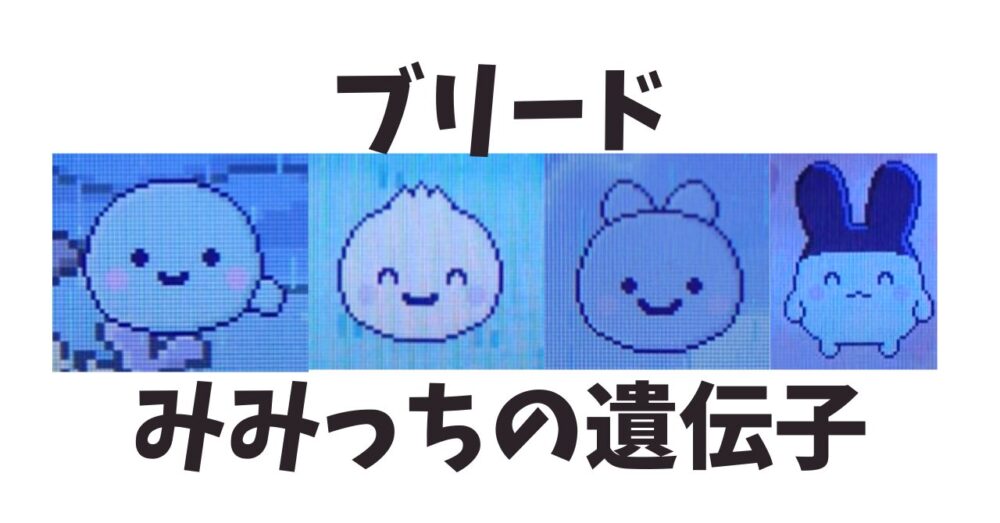 みみっちの遺伝子