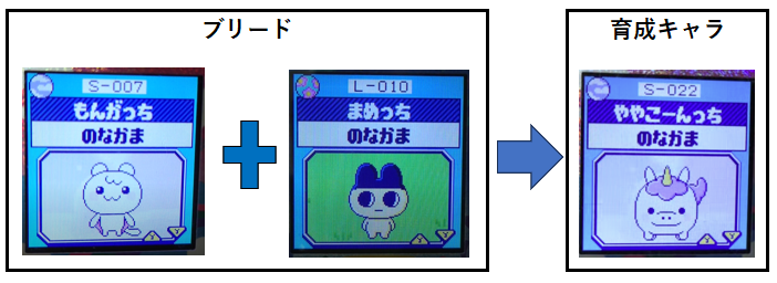 もんがっちとまめっちとややこーんっち