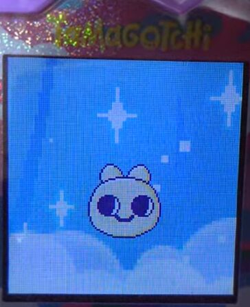 【そら】ややこーんっちとまめっちでブリード【キッズ期】