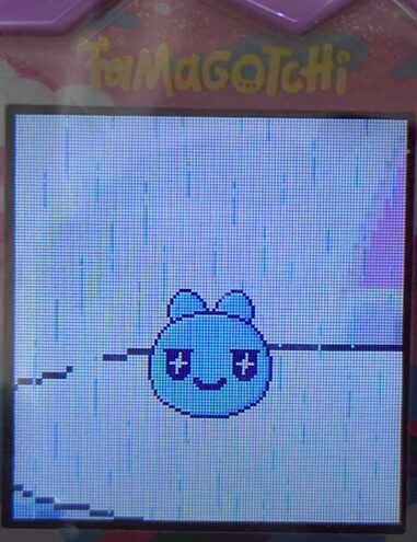 【そら】ややこーんっちとかちっちでブリードした【キッズ期】4