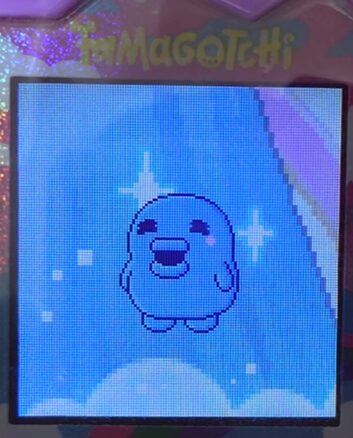 【そら】ややこーんっちとかちっちでブリードした【アダルト期】くちぱっち7