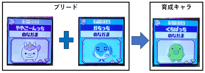 ややこーんっちとかちっちとくちぱっち