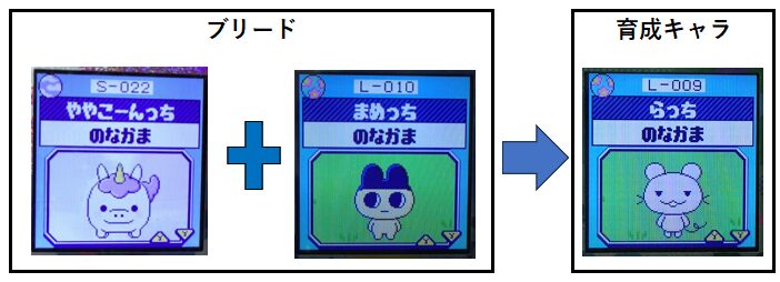 ややこーんっちとまめっちとらっち