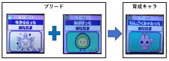 あぼぼっちとゆきららっちでブリードなんごくみゃおっちに育成