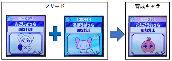 おこじょっちとあほろぱっちでブリードした【アダルト期】だんごうおっちに育成8