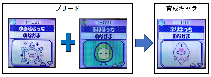 あぼぼっちとゆきららっちでブリードネリネっちに育成
