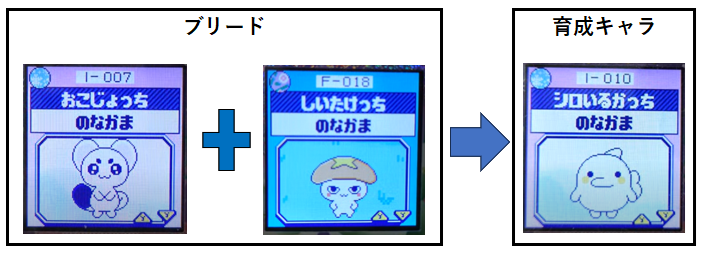 おこじょっちとしいたけっちでブリード【アダルト期】シロいるかっち10
