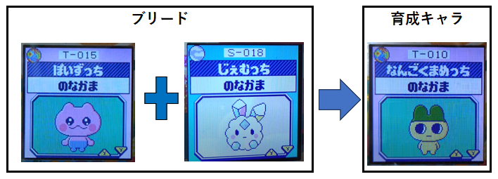 ぽいずっちとじぇむっちでブリードした【アダルト期】なんごくまめっちに育成9